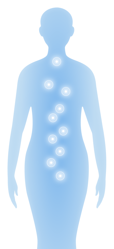 体がスキャンされている画像